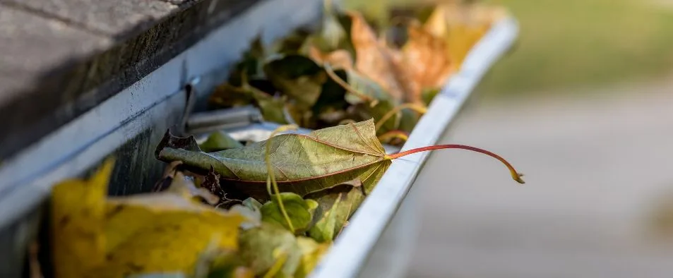 Veiller à la bonne évacuation des eaux de pluie de sa maison