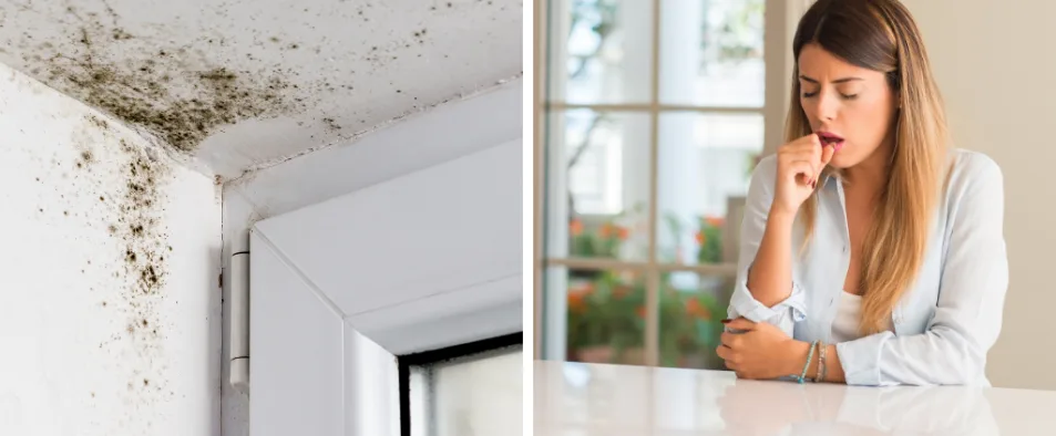 Combattre l'humidité dans sa maison