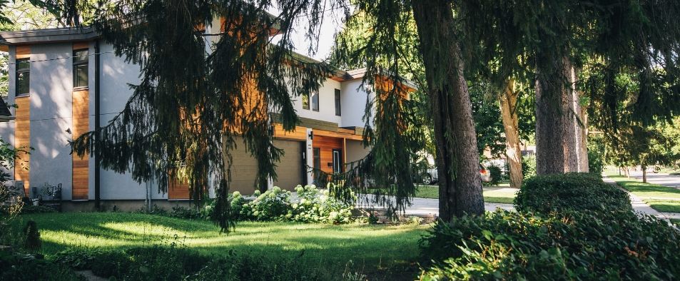 Tout savoir sur la taille des végétaux