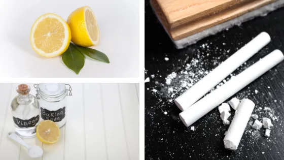 produits naturels pour éloigner les fourmis du jardin