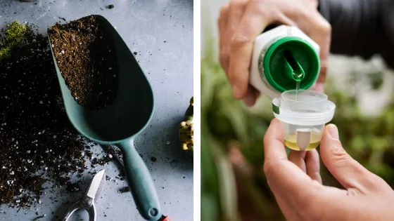 Eviter la repousse des mauvaises herbes