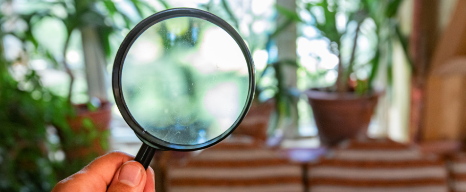 Quel est l'impact de la qualité de l'air intérieur sur la santé