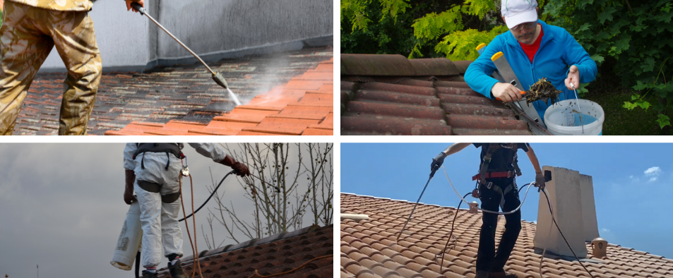 Les techniques du démoussage de toiture