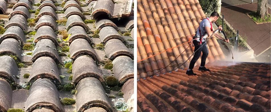 Tout savoir sur le nettoyage et le démoussage de toiture