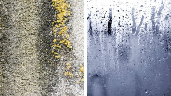 Humidité des murs et condensation maison