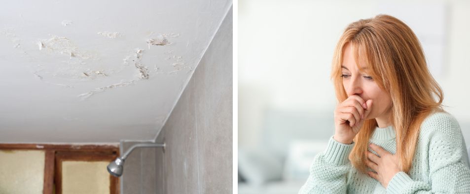 Conséquences salpêtre sur la maison et la santé MaisonSûr