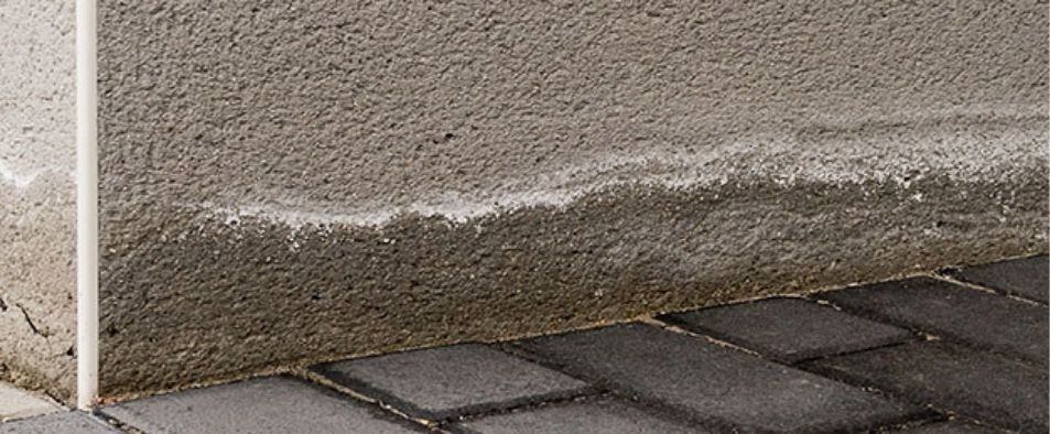 Salpêtre et remontées capillaires MaisonSûr