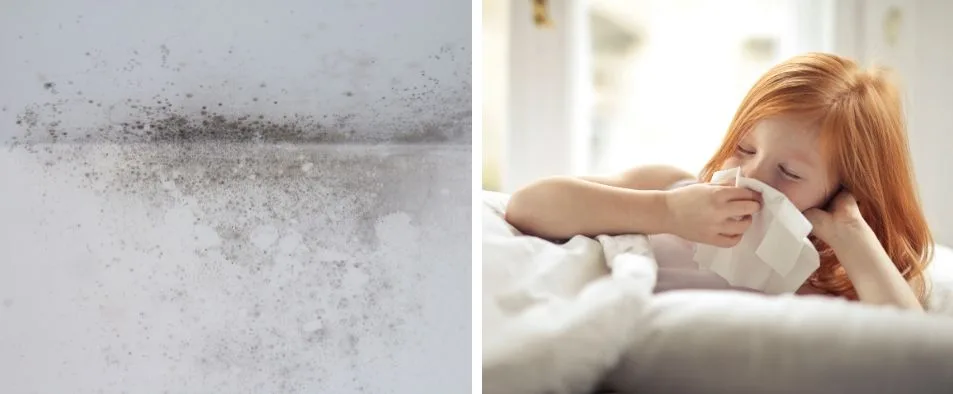 humidité chambre enfant que faire