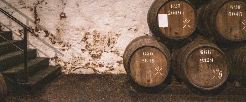 Est ce normal d’avoir de l’humidité dans une cave MaisonSûr