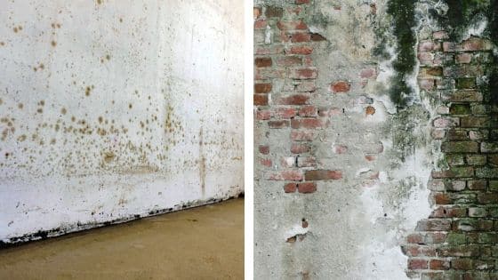 Humidité dans une cave - MaisonSûr