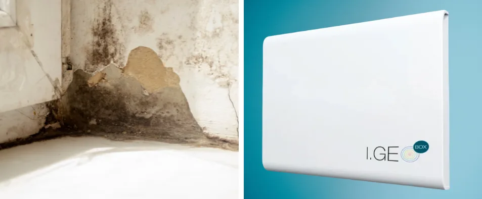 Traitement de l'humidité par assèchement électromagnétique