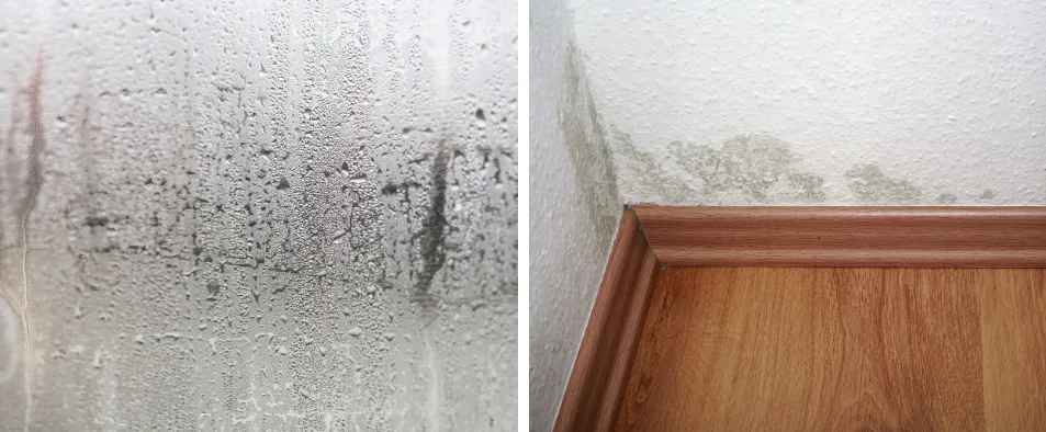 Condensation VS Humidité ascensionnelle