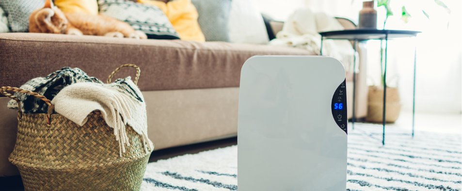 Installer un déshumidificateur pour lutter contre les problèmes d'humidité