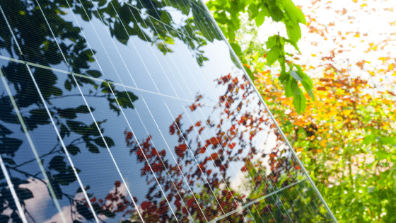 panneau solaire photovoltaique a l ombre des arbres