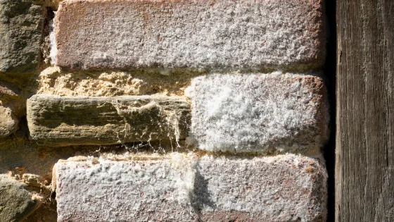 Trace de salpetre sur un mur en briques