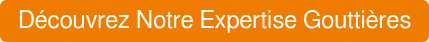 Découvrez Notre Expertise Gouttières