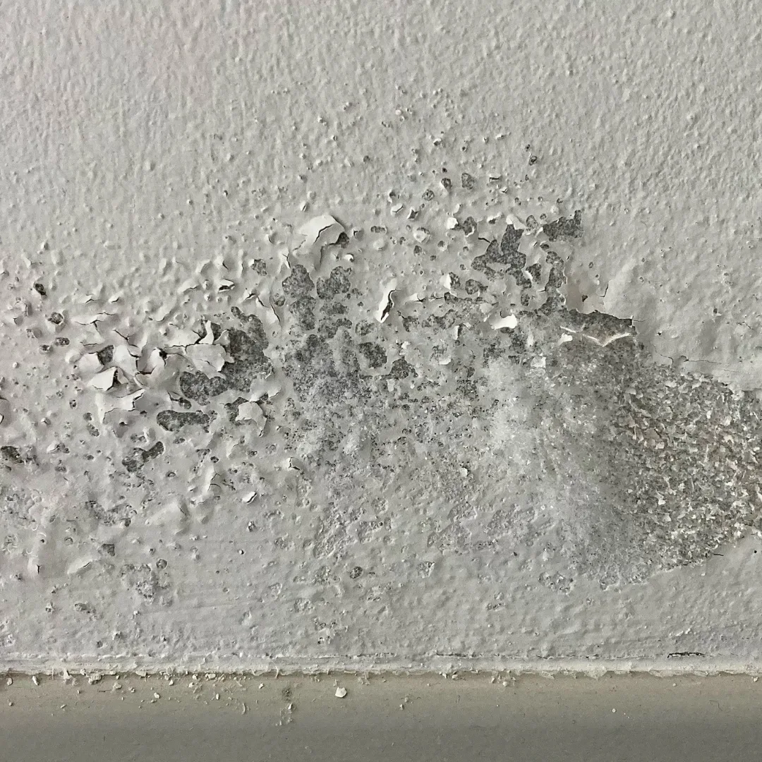 Photos génériques humidité