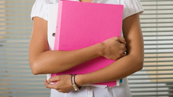 les dispositifs de l'état pour financer l'isolation des combles