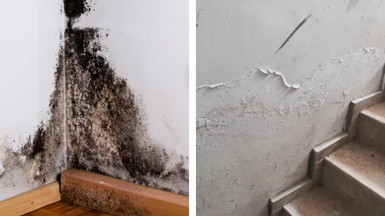 Moisissures dans un angle en bas d un mur et traces d humidite au niveau d un escalier