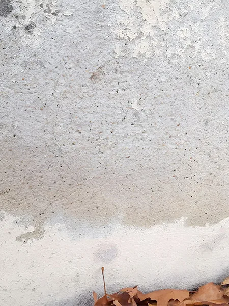 l humidite un danger invisible pour votre maison