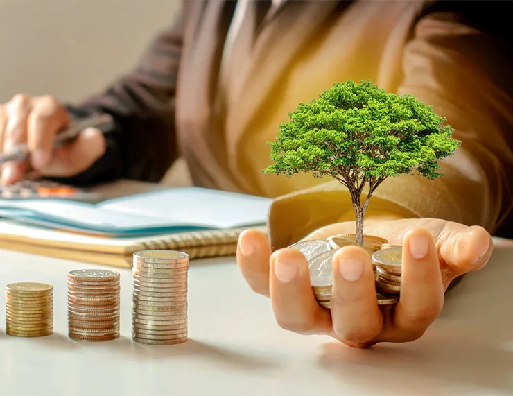 rentabilite financiere