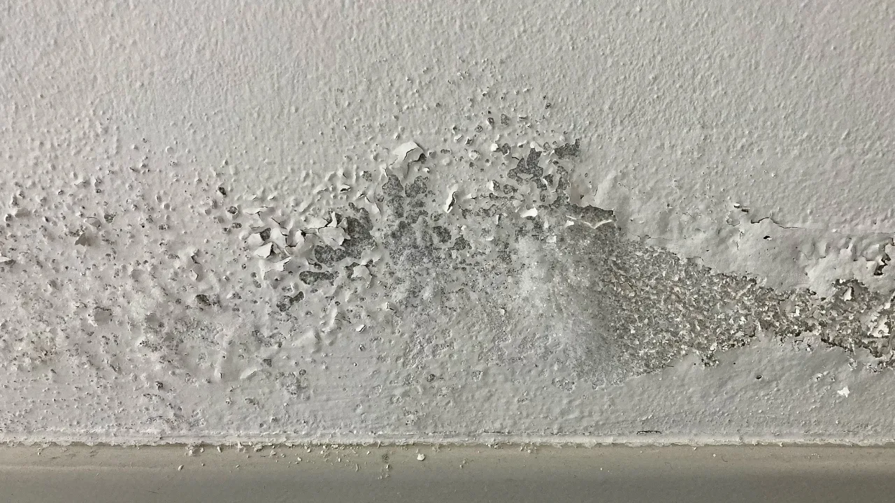 traitement humidite des murs