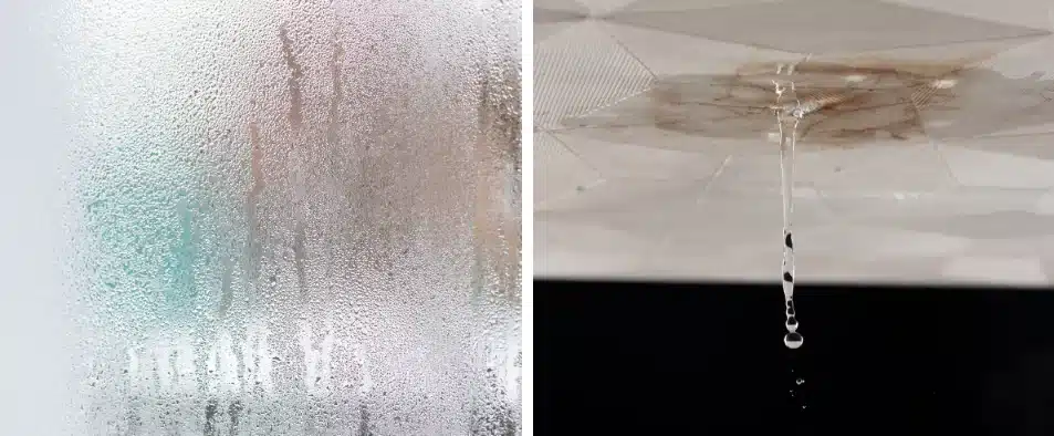 condensation ou infiltration